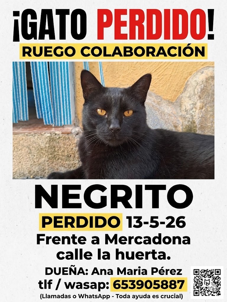 Felinos lo Morant tweet media