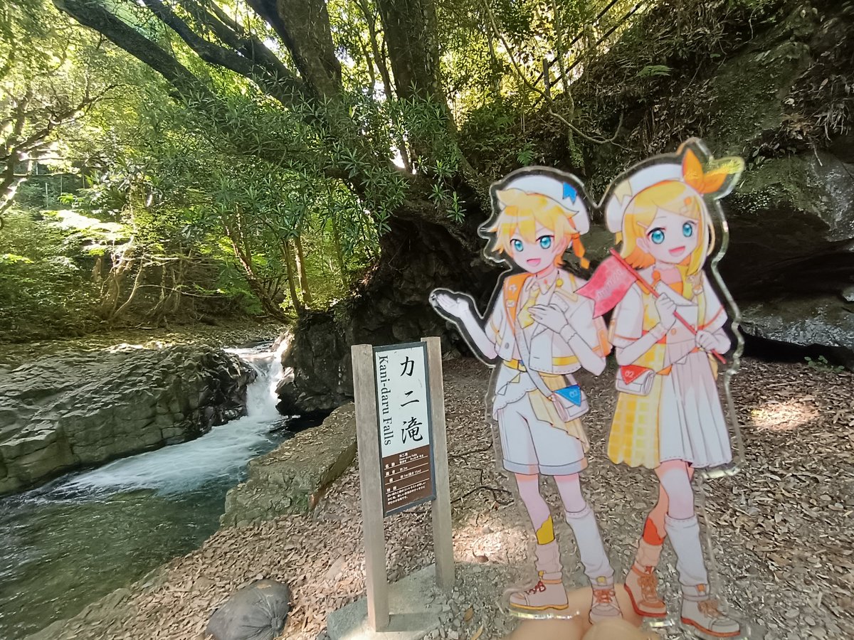 さくら(ぼかろ垢) tweet media