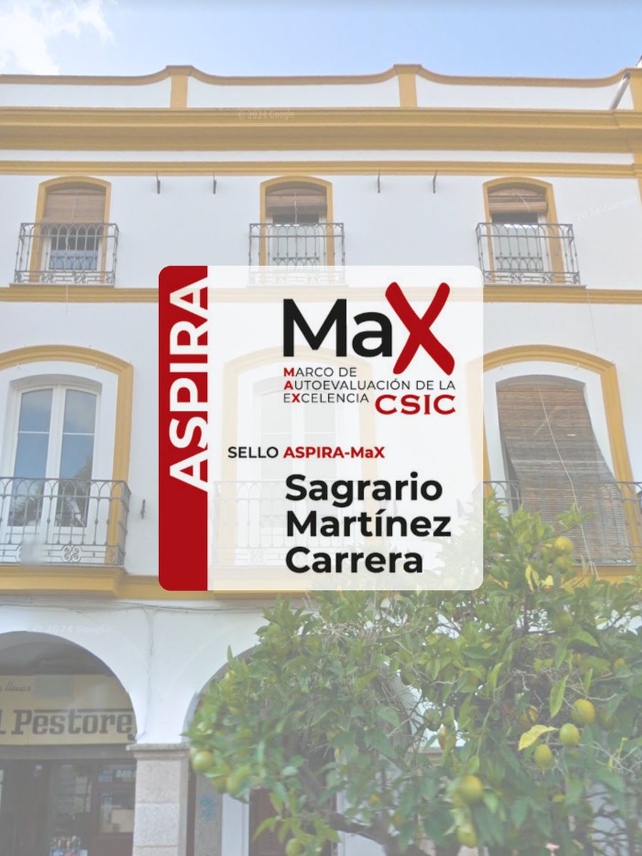 Instituto de Arqueología-Mérida (IAM-CSIC) tweet media