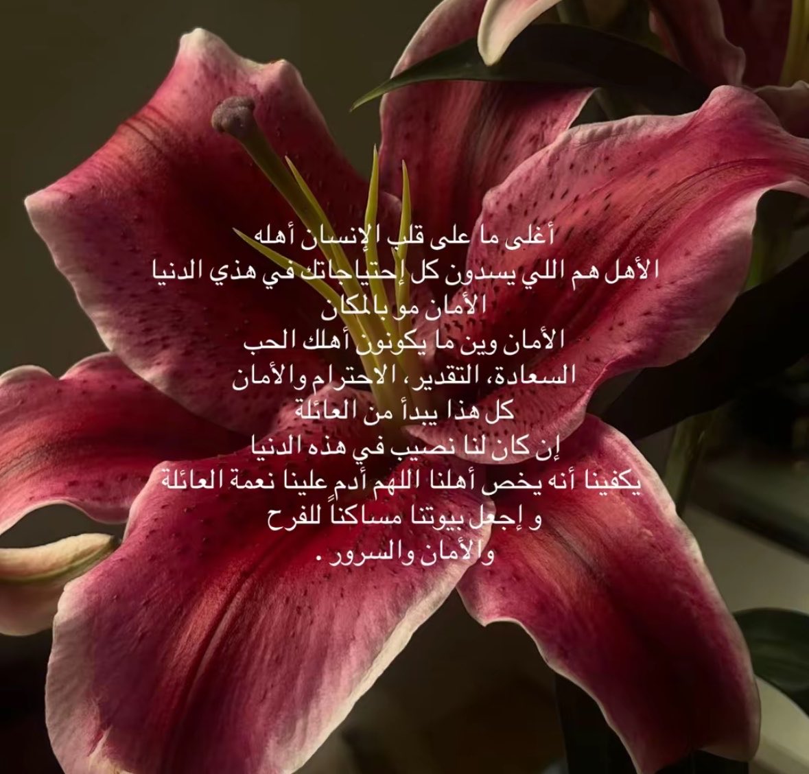 مَيساء | Miysa tweet media
