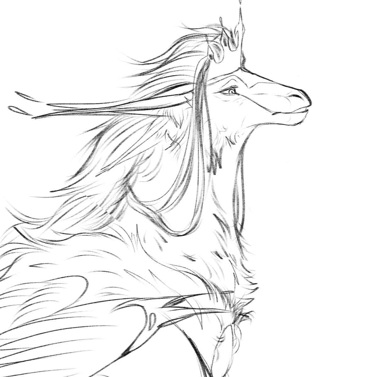 Zel_drawz's tweet photo. #Creaturesofsonariafanarts #COSqueenandkingfanarts #COSwiparts https://t.co/NoYYIXmTHR