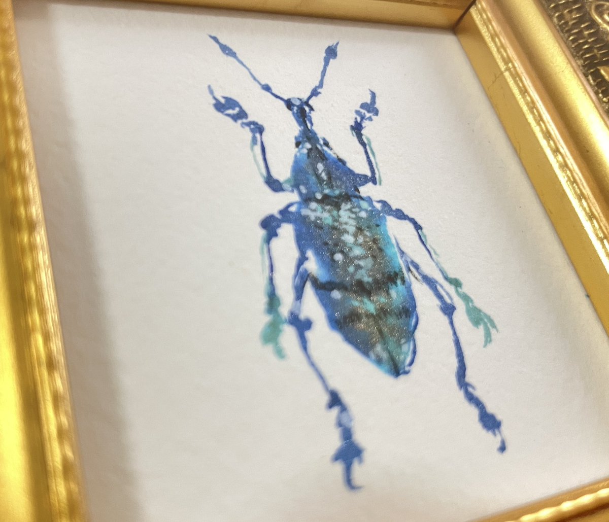 INSECTARIA -インセクタリア- tweet media