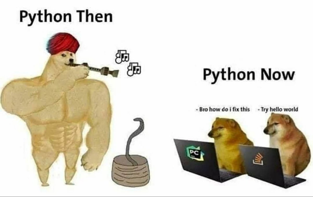 Python Developer tweet media