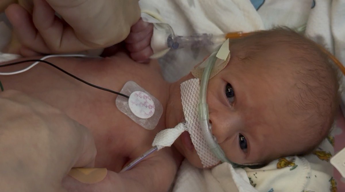 2Enigmatic4U's tweet photo. Together again at last!  Introducing my twin granddaughters born on May 1st, Estella LaRey McDonald and Tahti Vena McDonald!  Born two months early, Estella weighed 4lbs 1oz and Tahti weighed 4lbs 6oz. They have been receiving amazing care at #MercyOne Des Moines. https://t.co/DcMPXPiRNY