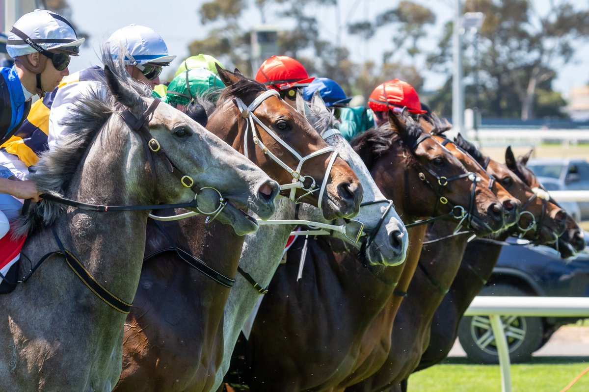 Racing Victoria tweet media
