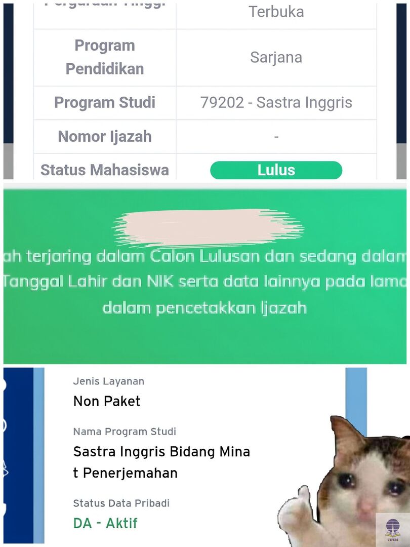 UTFESS | CEK PINNED 📌 tweet media