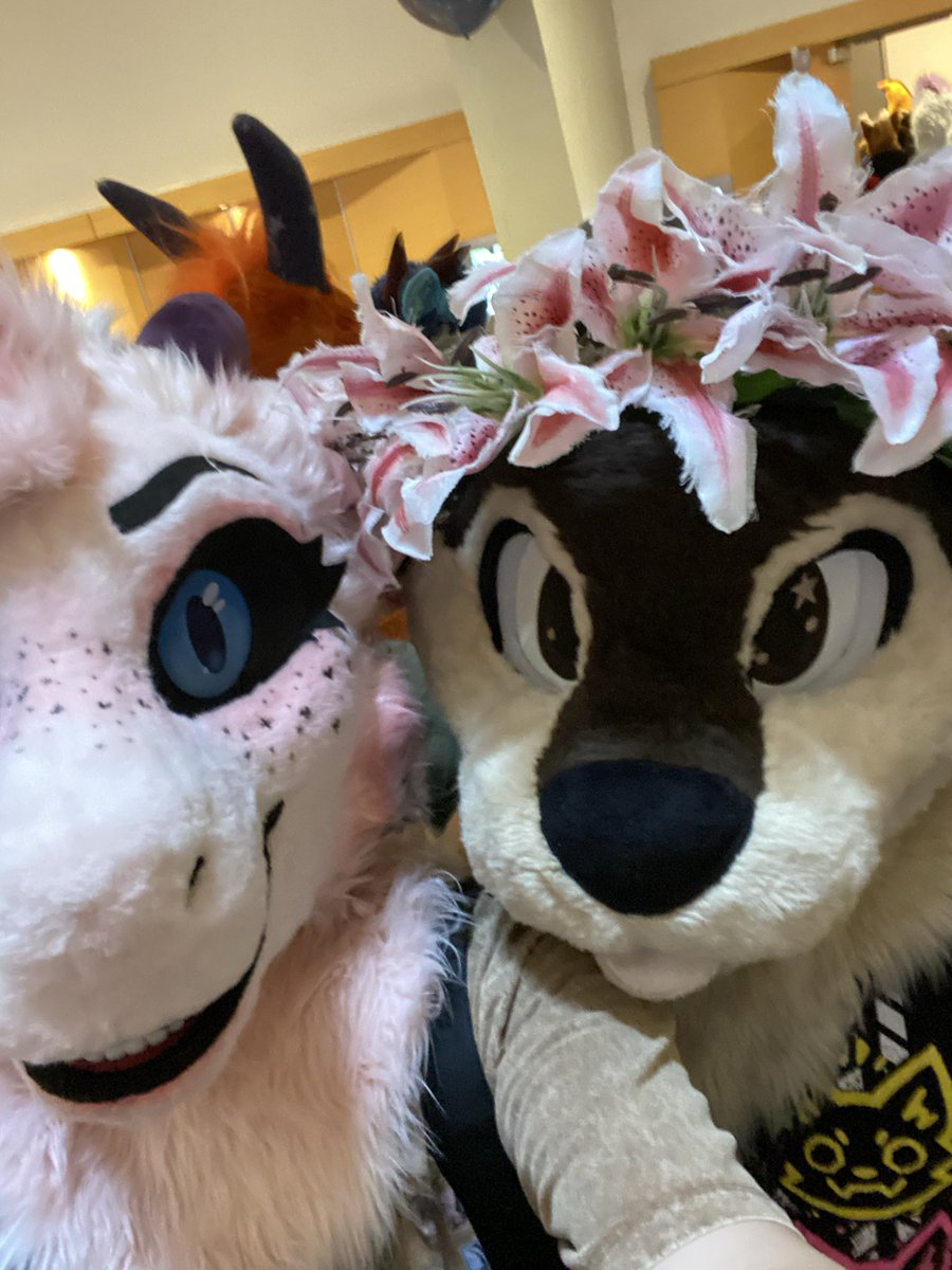 GenjuDragon 🔜 FWA tweet media