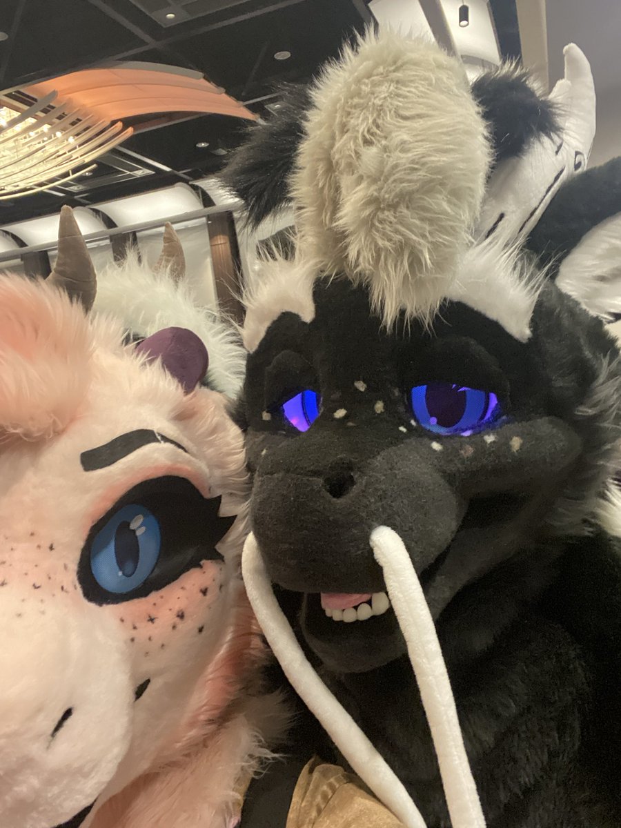 GenjuDragon 🔜 FWA tweet media