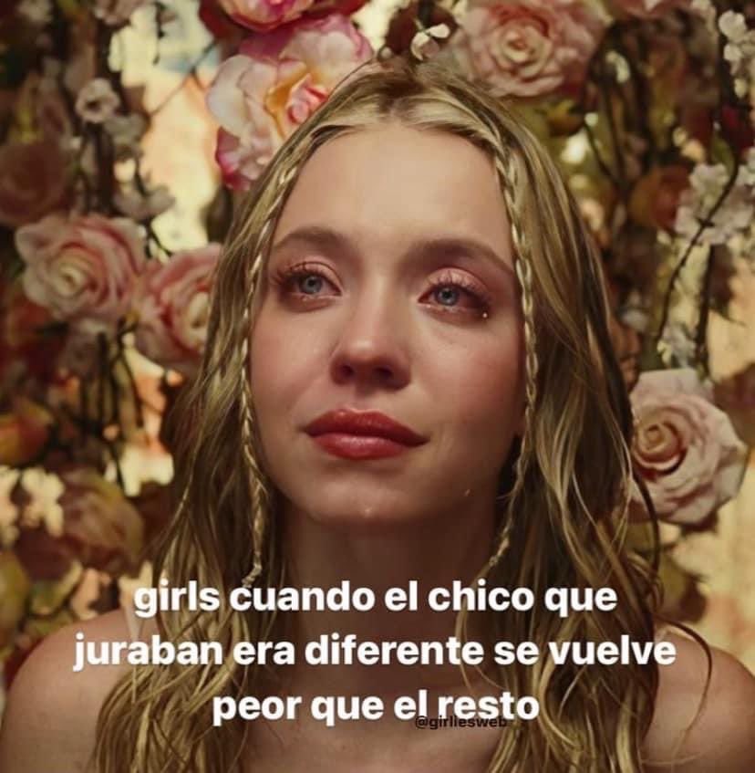 Sofia tweet media
