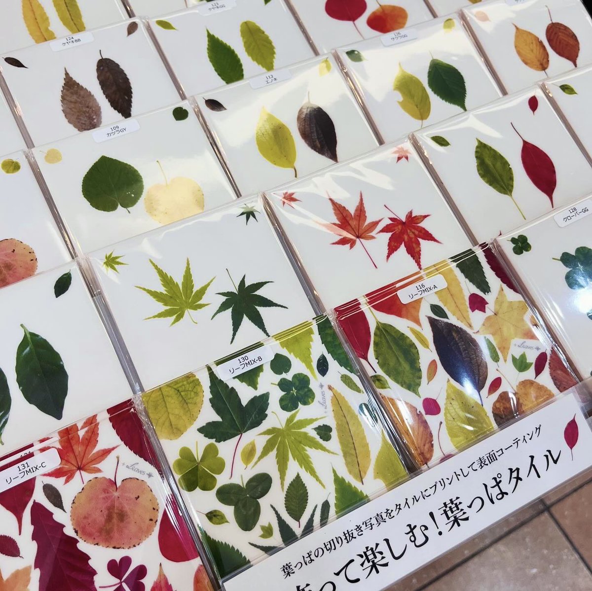 葉っぱタイル・プラスリーブスGREEN SHOP🍃 tweet media