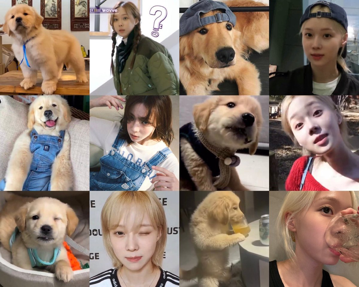 im มัมหมี Full time ☃️🤍 tweet media