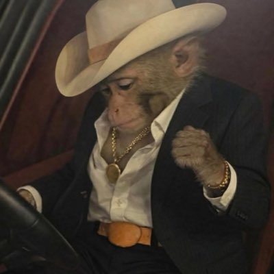 BlueDevilCCD's tweet photo. #NewProfilePic https://t.co/FFpHfWrwav