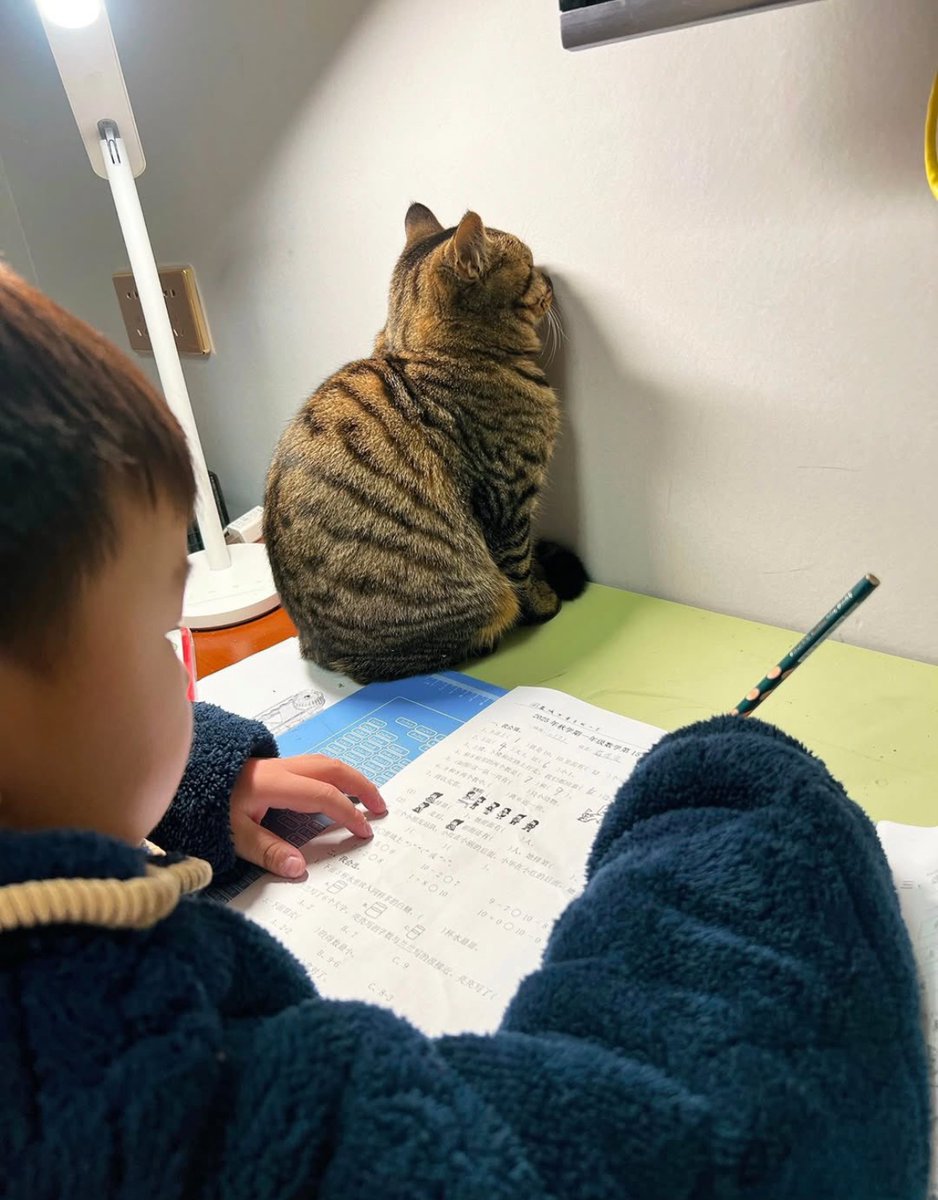 犬しか勝たん tweet media