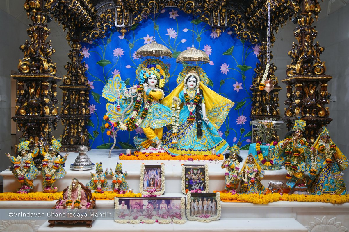 Vrindavan Chandrodaya Mandir tweet media