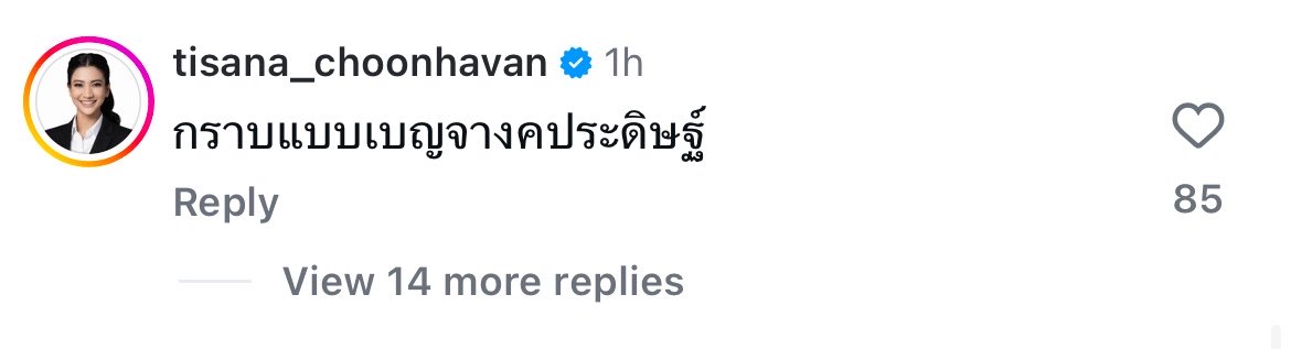 นานา 🐈☆.⚘ ⸝⸝⊹ tweet media