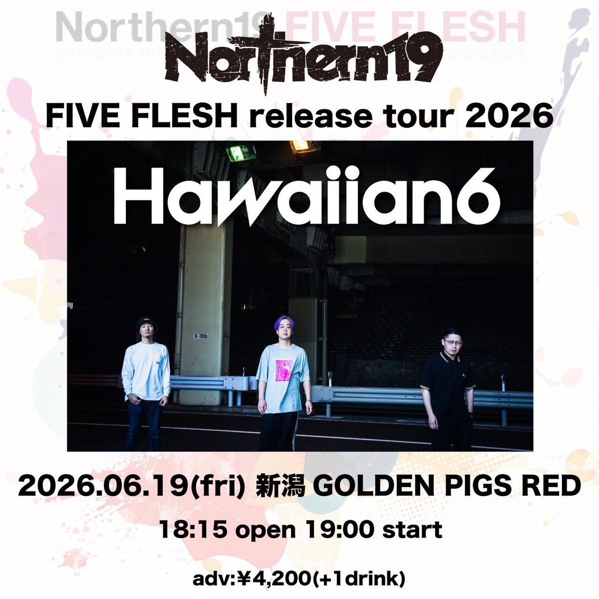 Northern19 tweet media