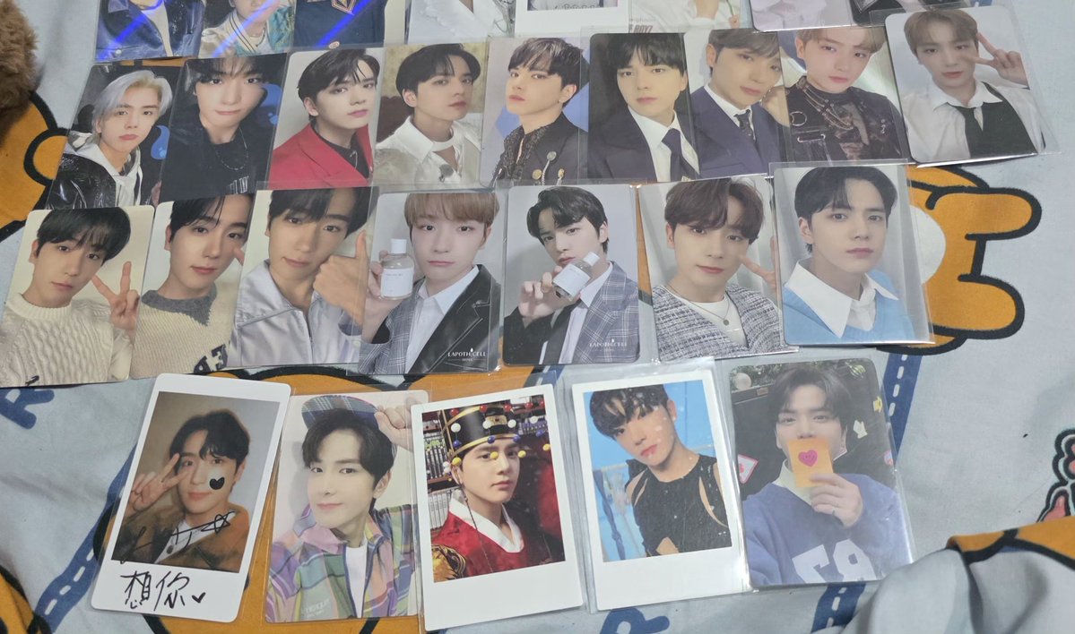🍞Haru빵⋆݁ ˖Ი𐑼⋆ tweet media