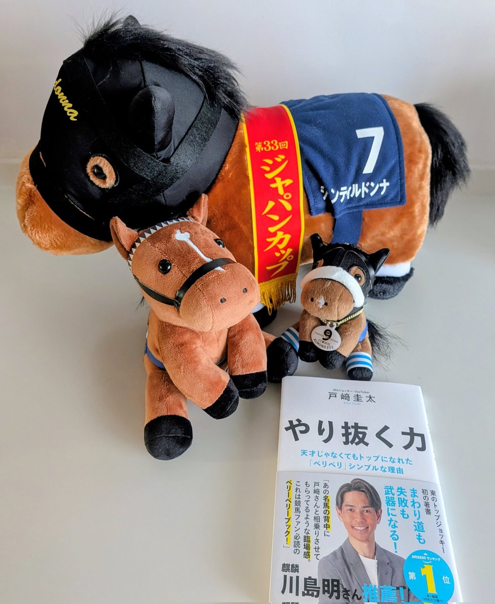 戸﨑圭太騎手の『やり抜く力』届いた〜❗ 持ってるアイドルホース等の