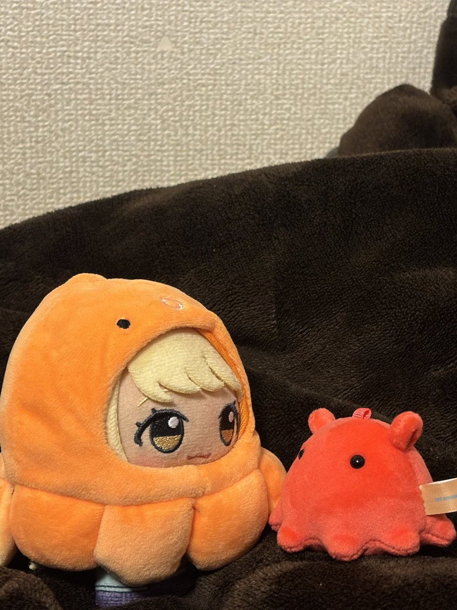 38xdbJ9VWG66610's tweet photo. タコ仲間だね https://t.co/xIfoFxXNzr