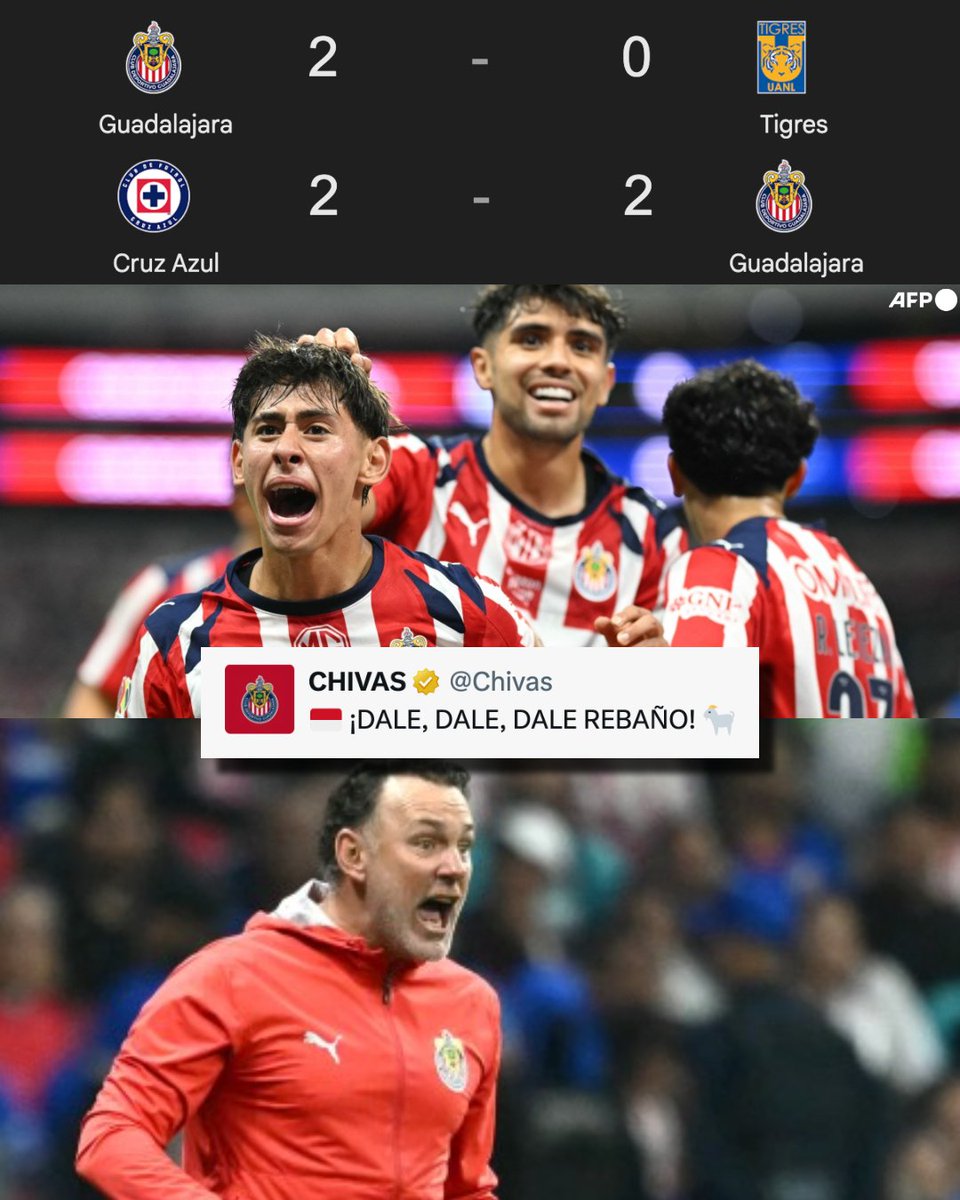 Invictos tweet media