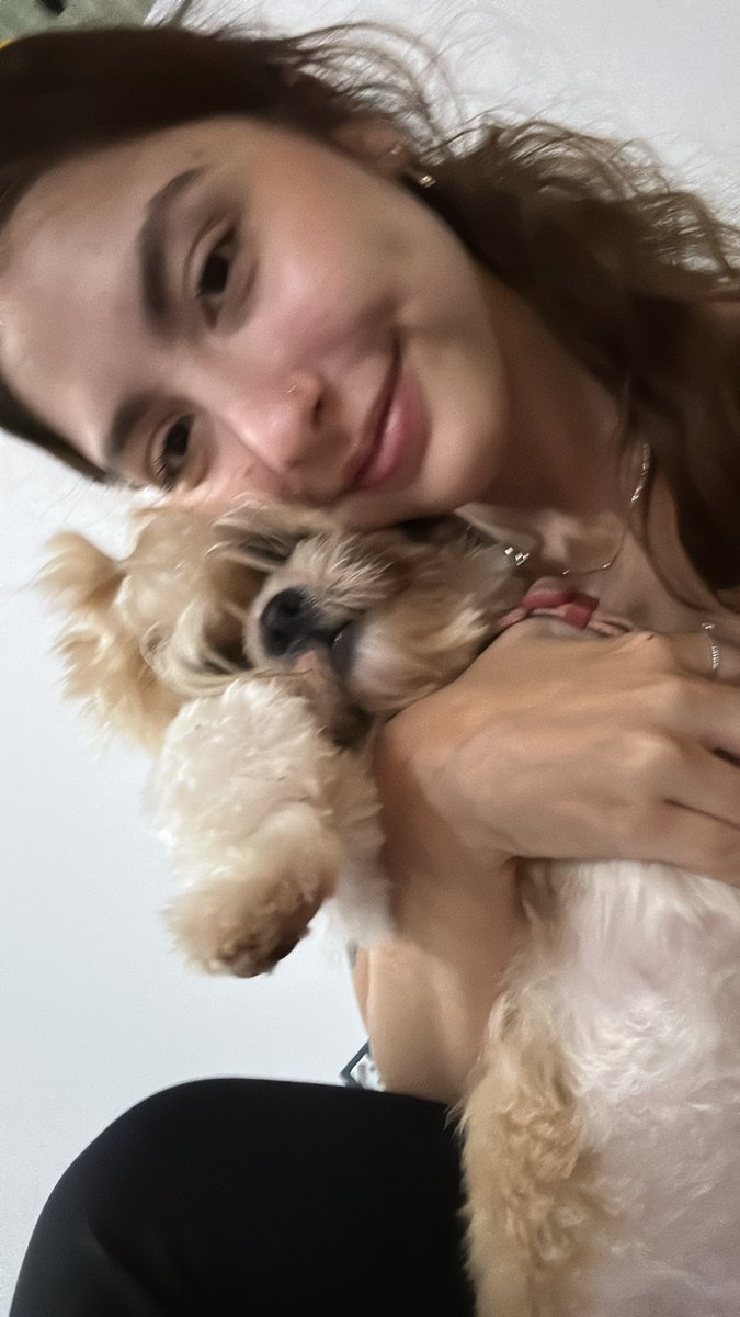 laurinha tweet media