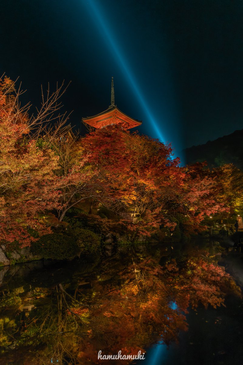 hamuhamuki's tweet photo. ทุกฤดูอยู่แล้ว เกียวโตอะ มาเหอะ มันสวยจริงๆ
Welcome Everyone to Kyoto ค่ะ

มุมเดิม เปลี่ยนฤดูยังสวย https://t.co/RABjLPfnw6