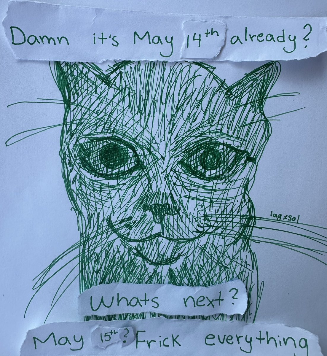 LiterallyMeCats tweet media