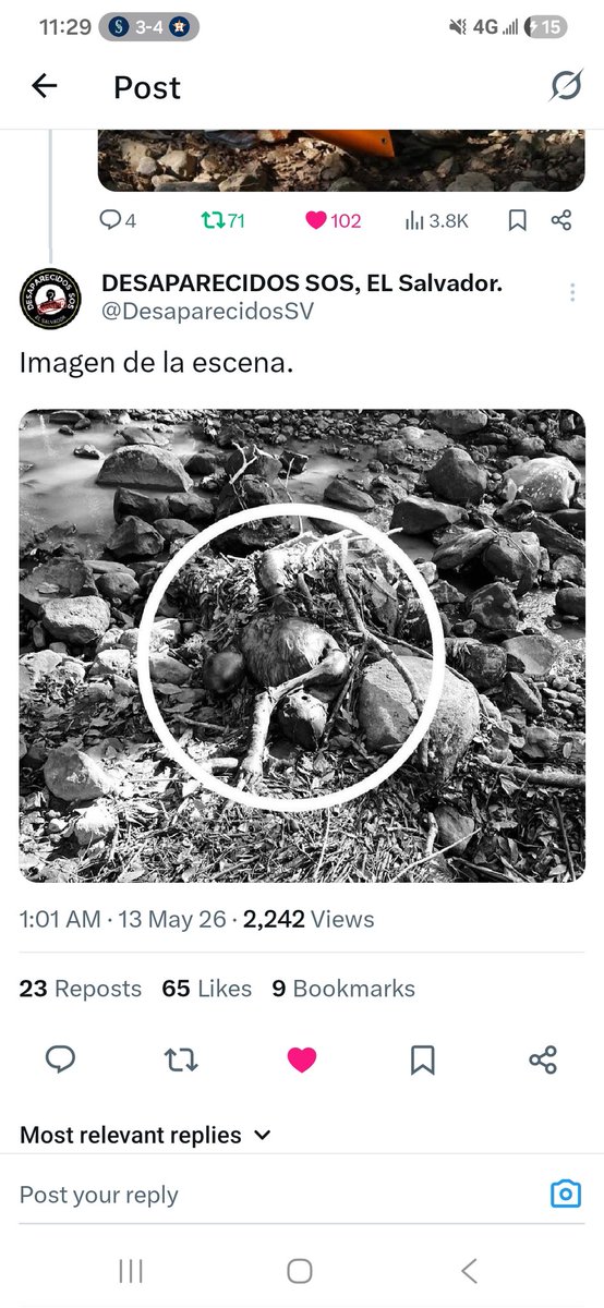 Angelica Tejada tweet media