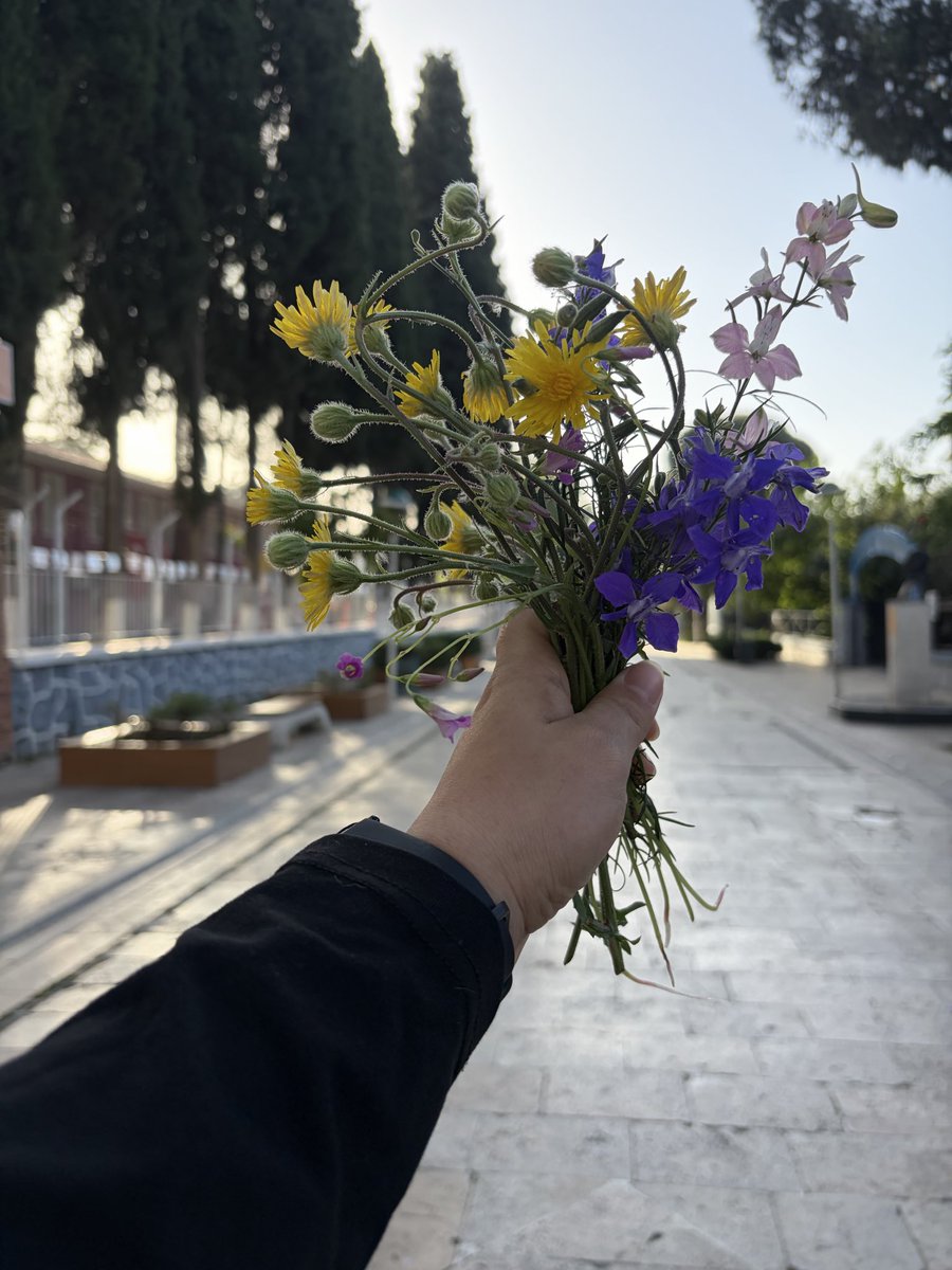 Roj🌼 (bêybun) tweet media