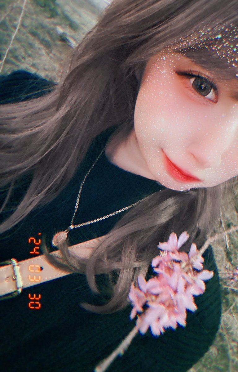 みか🌼🐨💚える tweet media