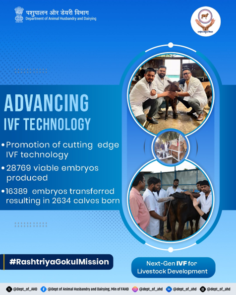 Dept_of_AHD's tweet photo. Modern Reproductive Technology with next-gen IVF tech under Rashtriya Gokul Mission

28,769 embryos produced | 16,389 transferred | 2,634 calves born
High Genetic Merit Animal. Better livelihoods.

#RashtriyaGokulMission #IVFTechnology #LivestockDevelopment #DairyIndia https://t.co/kge9RwcdA9