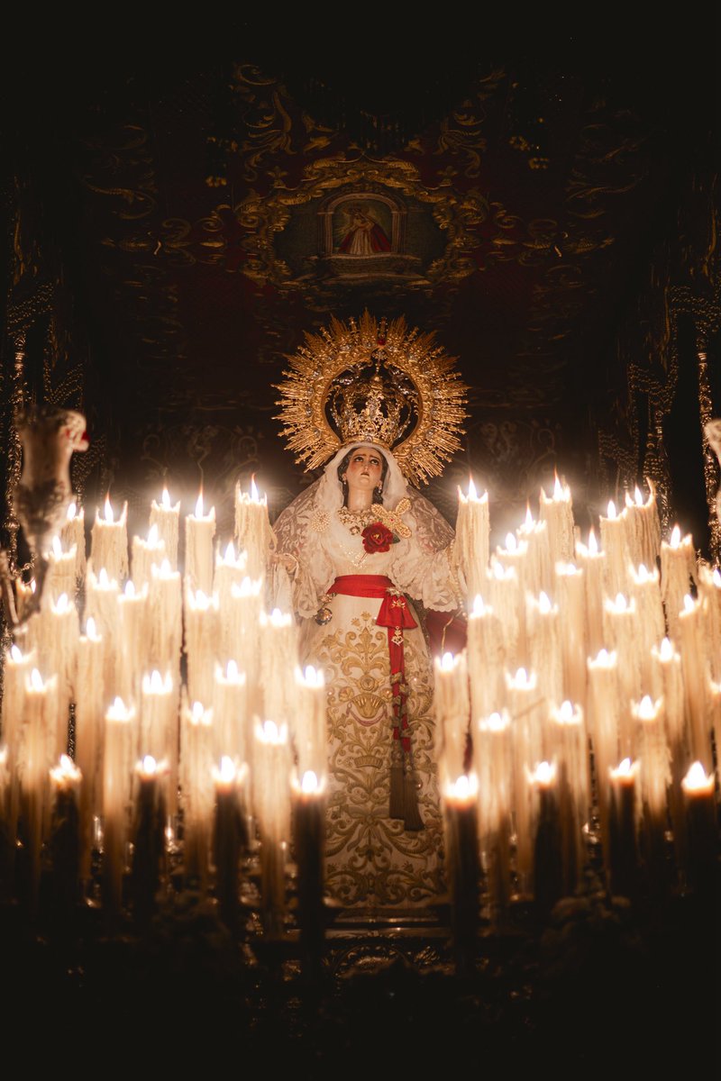 Zamarrilla's tweet photo. Madre de la Amargura, tu dolor se transforma hoy en alegría desbordante.
Contemplas a tu Hijo resucitado y la luz vence a todas tus lágrimas.

Te pedimos que derrames la paz del Señor sobre las naciones en guerra.
Guía a la humanidad hacia la reconciliación en este tiempo de Pascua.

Es #JuevesdeZamarrilla

📸 @NicoCanela_ 

#Zamarrilla | #CofradíasMLG
