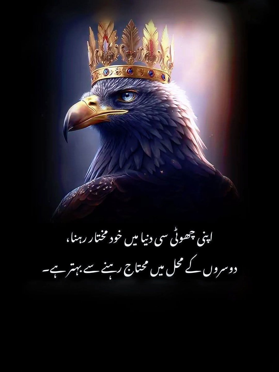 Ayesha🤍 tweet media