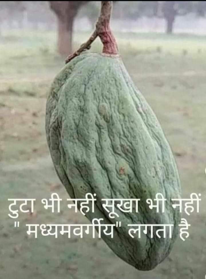 Manmohan Jha tweet media