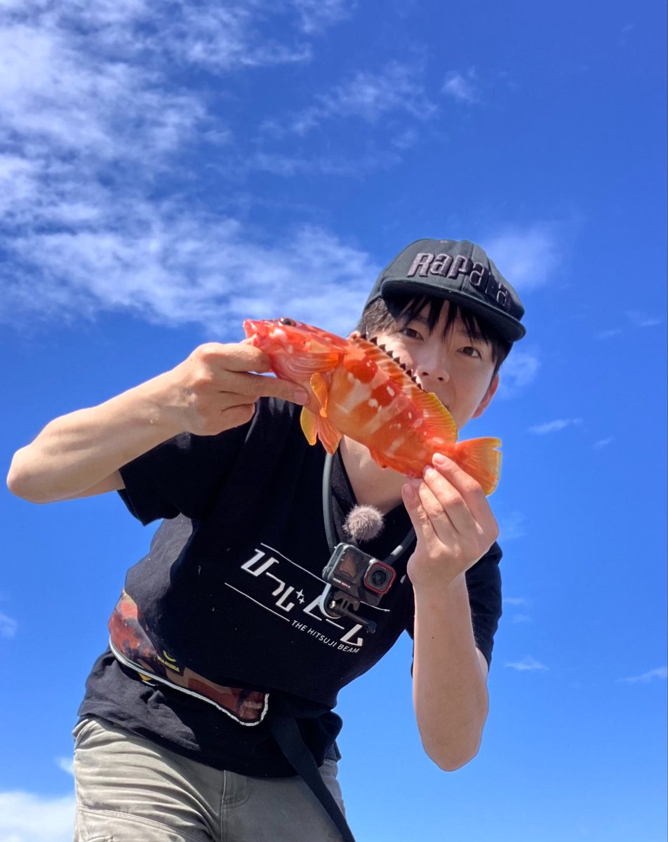 しののめ (@snnm_Vo) / Posts / X