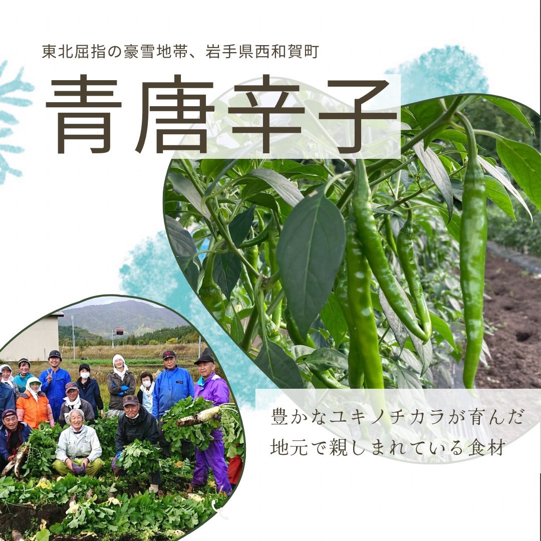【公式】道の駅しかべ間歇泉公園/北海道/道南/鹿部町/道の駅鹿部 tweet media
