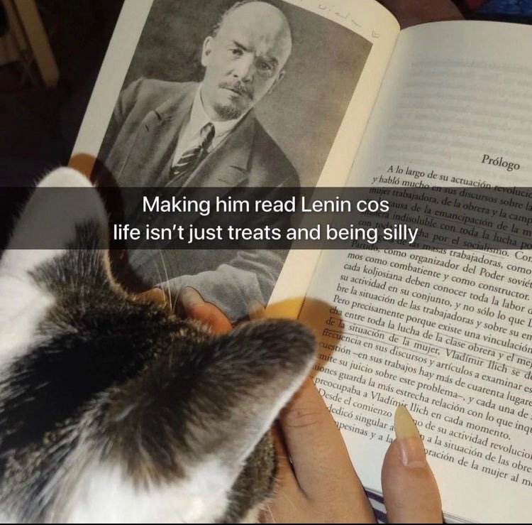 philosophy memes 🔗 tweet media