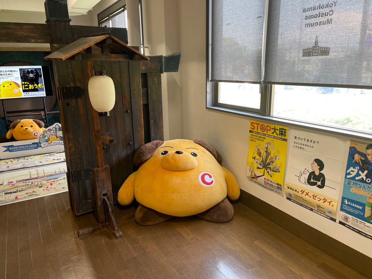 でこ彦 tweet media