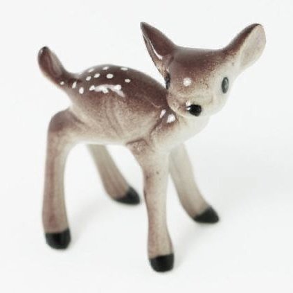 fawn ⚢ tweet media