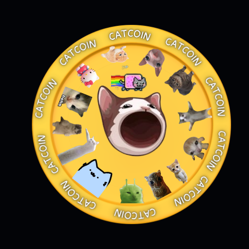Catcoin tweet media