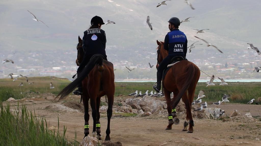 # HABER TUŞBA # tweet media