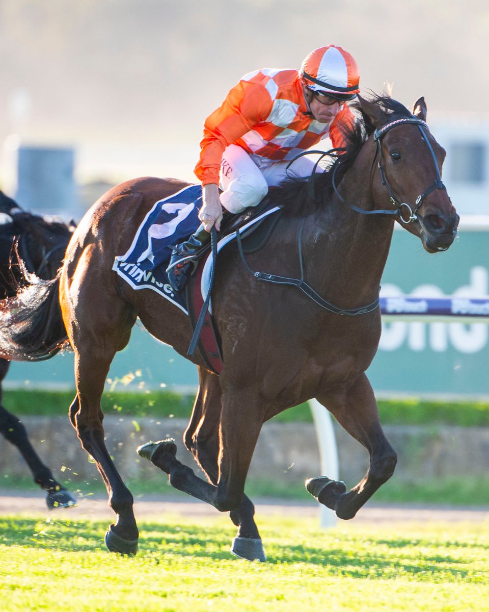 Perth Racing tweet media