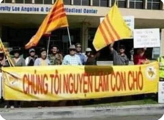 Chuyên chọc 3/ 🐶 tweet media