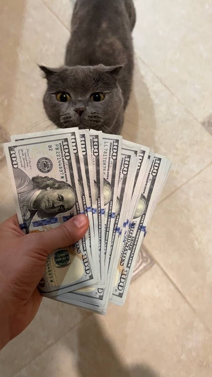 𝐒𝐩𝐢𝐜𝐜𝐲🪽 tweet media