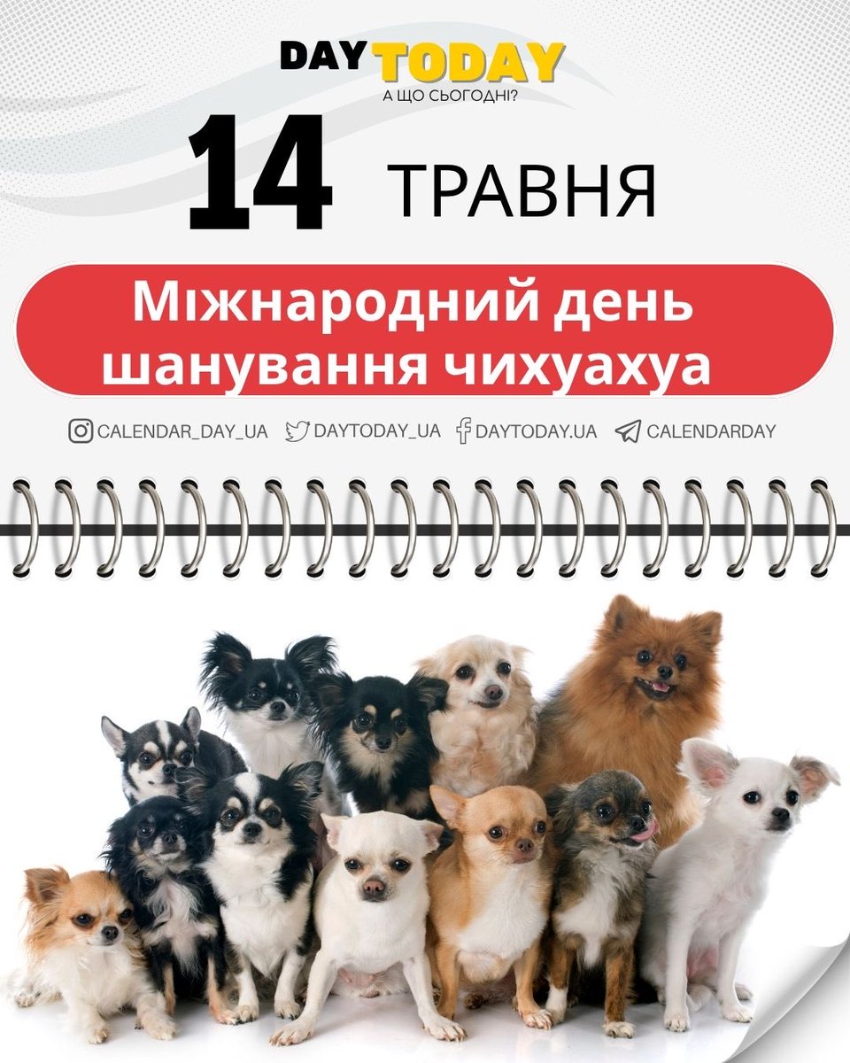 DAY TODAY 🇺🇦 А що сьогодні? tweet media