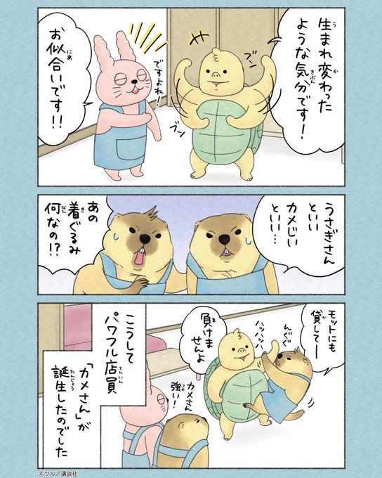 (4/4) 
