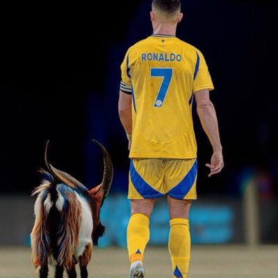 CR7 LASTSON tweet media