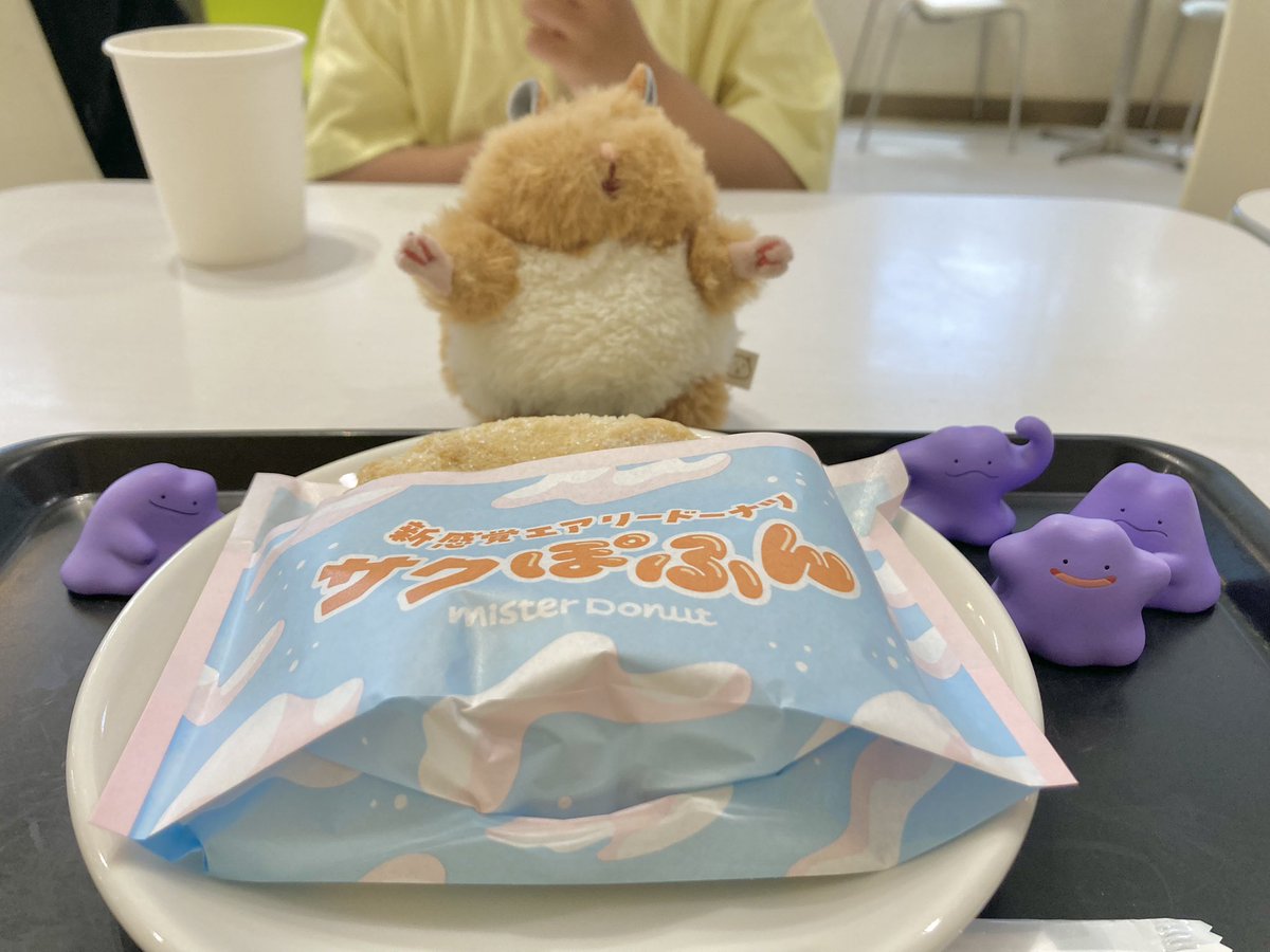 タキ🍡SkyArtFest２日め参戦❕ tweet media