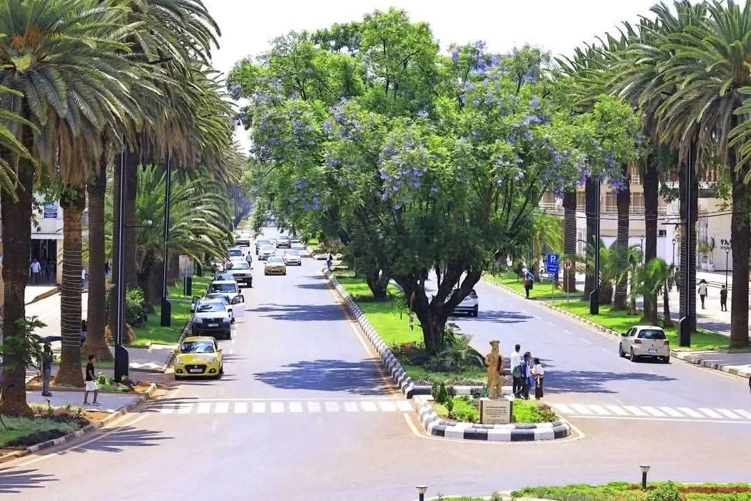Gecpp2018's tweet photo. 📷 ባህርዳር ከተማ!

የባህርዳር ከተማ አዳዲስ ገጽታዎች! https://t.co/ROkkRPPUGx