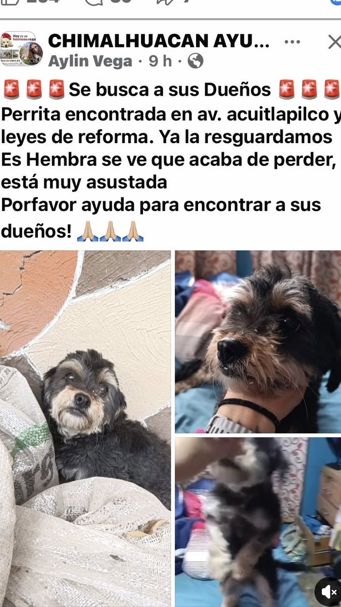 Dra Alejandra tweet media